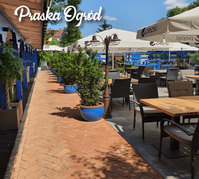 Letnie popołudnie w ogrodzie EFES